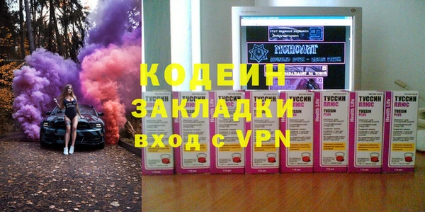 молекула духа Пересвет