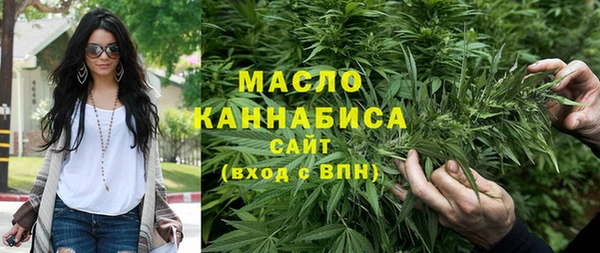 молекула духа Пересвет