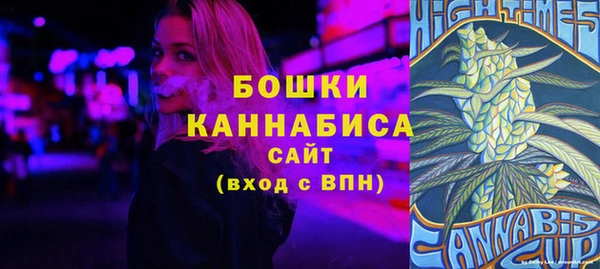 молекула духа Пересвет