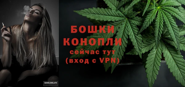 молекула духа Пересвет