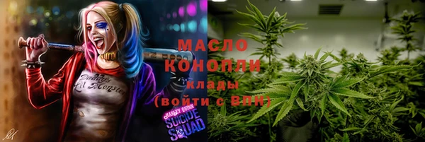 молекула духа Пересвет